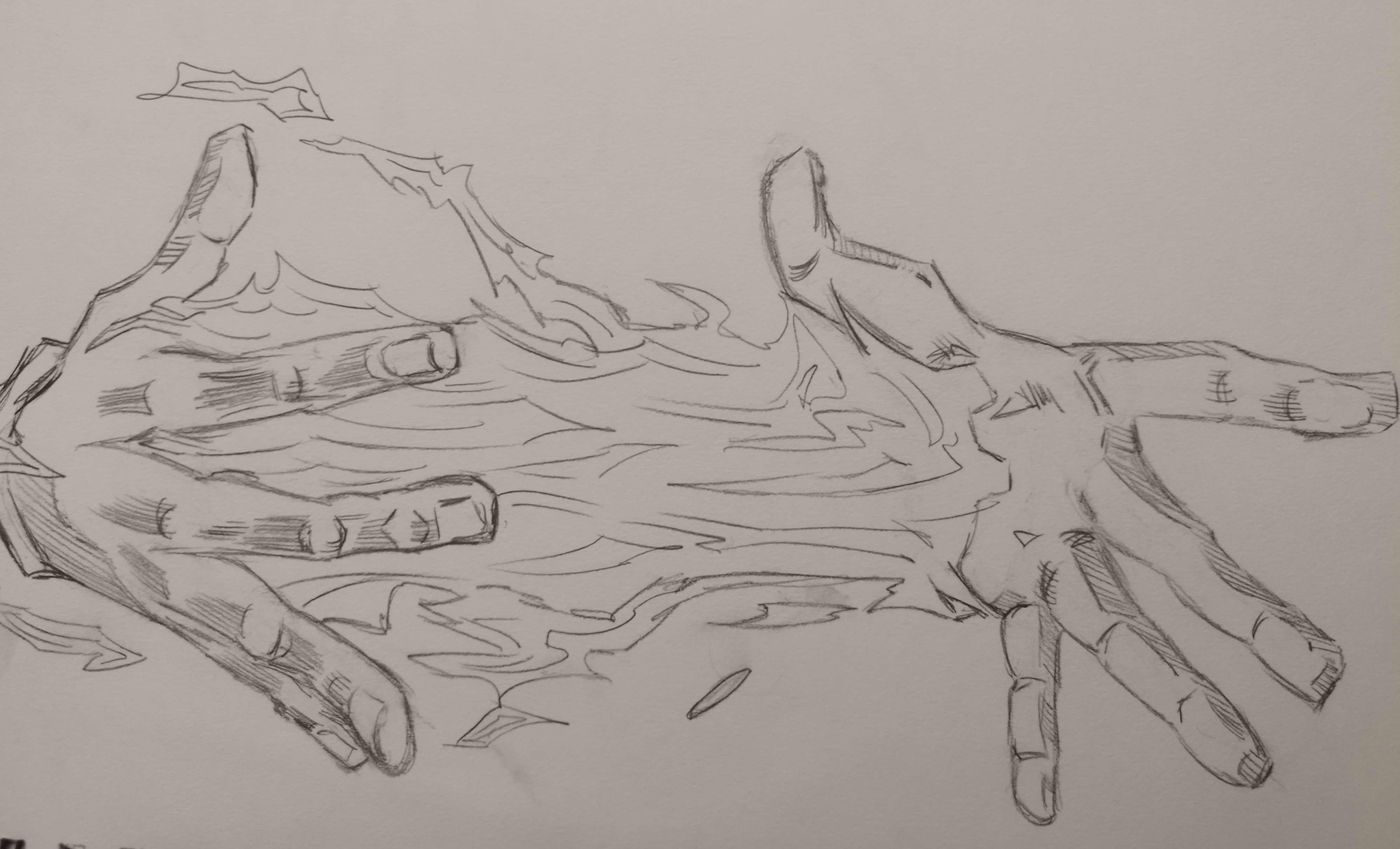 Illustration de ma première passion : le dessin.